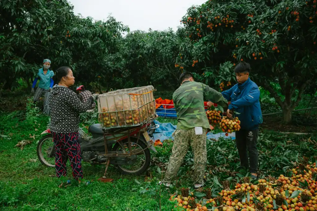 甘肃智慧农业传感器选型指南：土壤墒情监测与气象站搭配方案