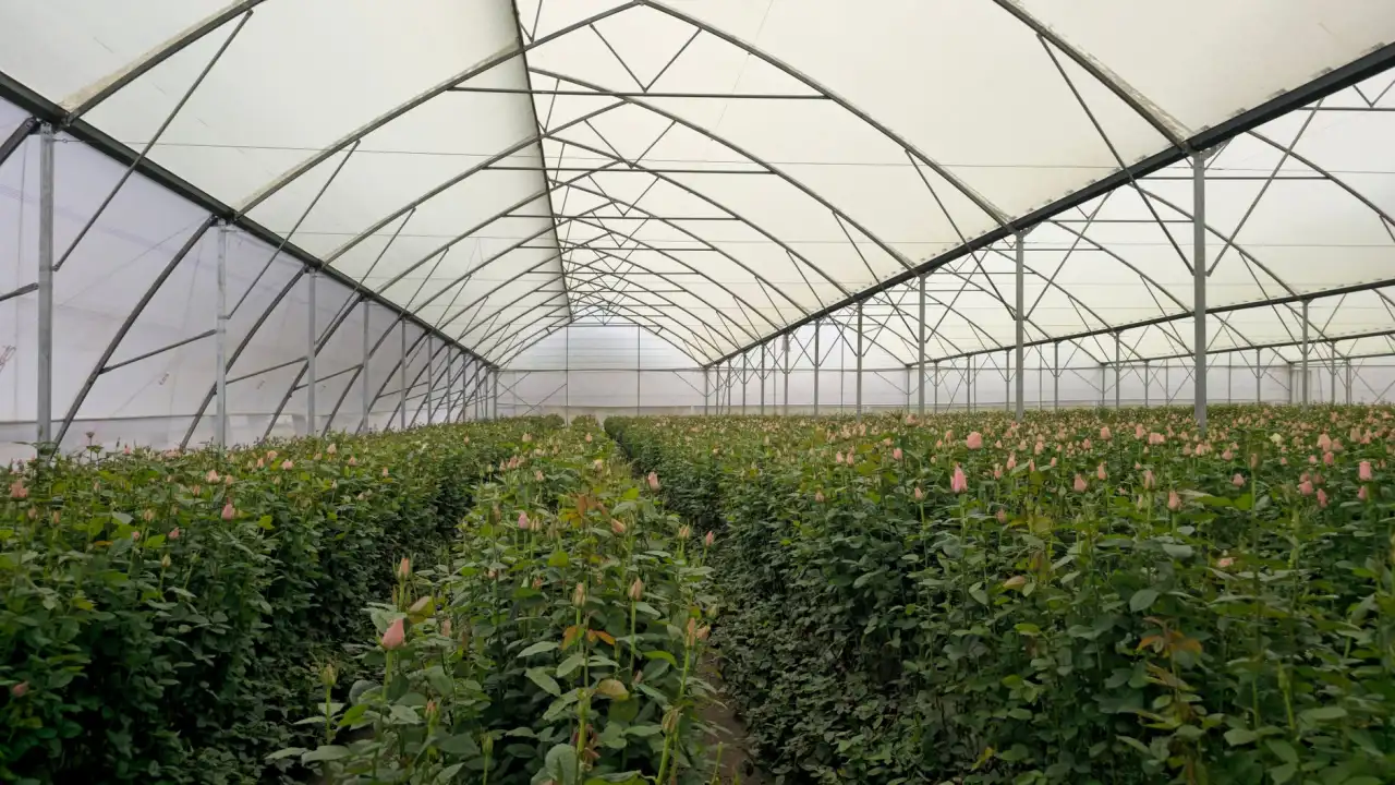 土壤墒情监测传感器在西北灌溉系统中的应用对比
