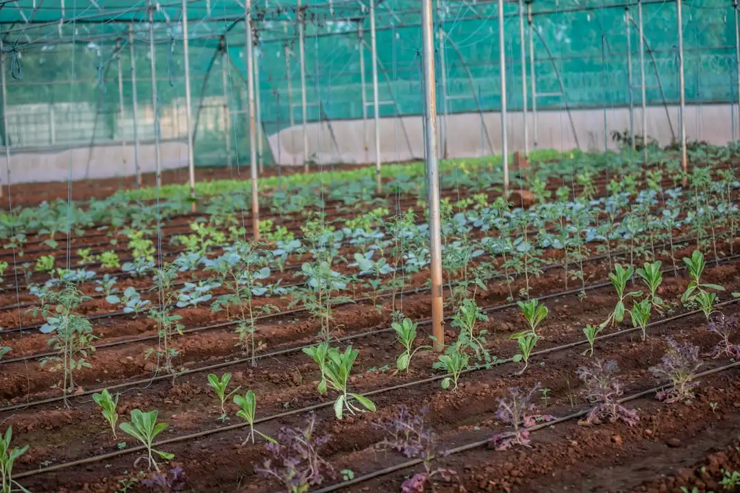 甘肃智慧农业传感器技术升级，助力土壤墒情监测精准度提升
