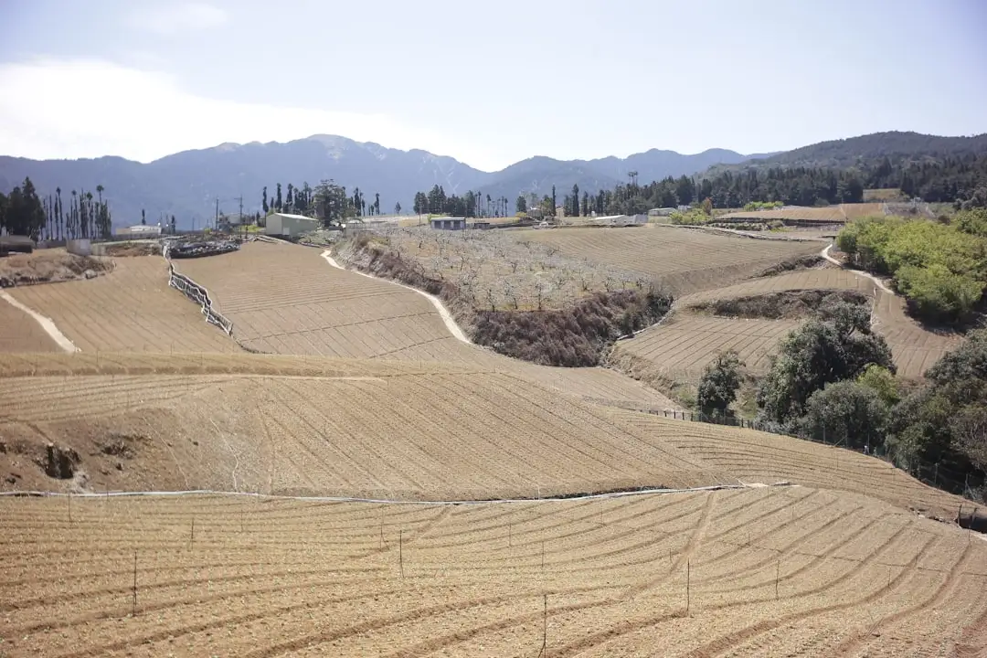 从墒情监测到自动灌溉：夜阑谣灌溉控制器在西北大田的应用解析