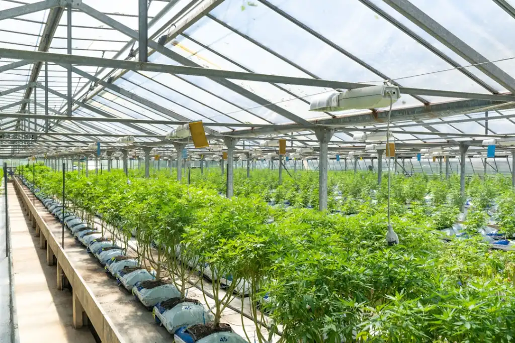 甘肃智慧农业传感器选型指南：土壤墒情监测与气象站配置要点正文配图 2